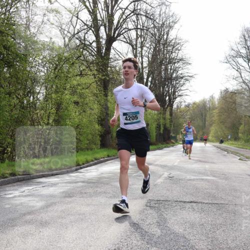 12.04.2026 - 45. Internationalen Wilhelmsburger Insellauf Yannick Fuchs http://msf.ph/oto/9475838 12.04.2026 10:09:30 Laufen 4205 meine-sportfotos.de