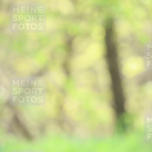 12.04.2026 - 45. Internationalen Wilhelmsburger Insellauf Yannick Fuchs http://msf.ph/oto/9479490 12.04.2026 10:17:47 Laufen  meine-sportfotos.de