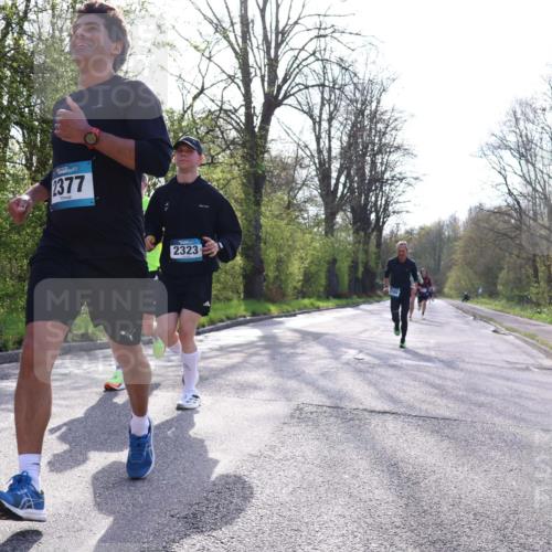 12.04.2026 - 45. Internationalen Wilhelmsburger Insellauf Yannick Fuchs http://msf.ph/oto/9481135 12.04.2026 10:21:09 Laufen 2377, 2323 meine-sportfotos.de
