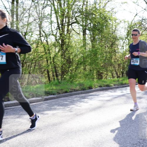 12.04.2026 - 45. Internationalen Wilhelmsburger Insellauf Yannick Fuchs http://msf.ph/oto/9481663 12.04.2026 10:29:44 Laufen 1677, 4629 meine-sportfotos.de