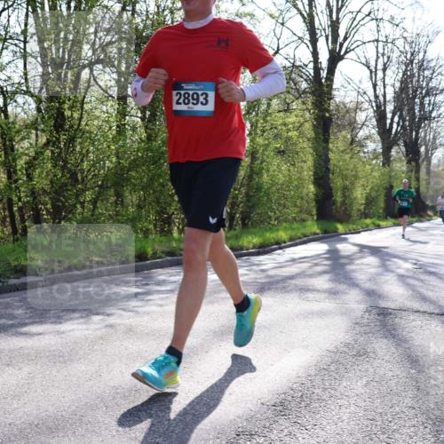 12.04.2026 - 45. Internationalen Wilhelmsburger Insellauf Yannick Fuchs http://msf.ph/oto/9482575 12.04.2026 10:23:17 Laufen 2893 meine-sportfotos.de
