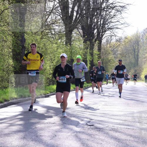 12.04.2026 - 45. Internationalen Wilhelmsburger Insellauf Yannick Fuchs http://msf.ph/oto/9482903 12.04.2026 10:23:59 Laufen 2402, 4493, 3929, 3605 meine-sportfotos.de