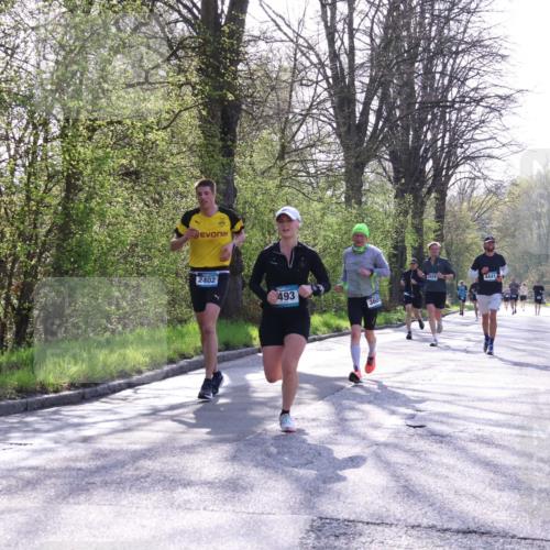 12.04.2026 - 45. Internationalen Wilhelmsburger Insellauf Yannick Fuchs http://msf.ph/oto/9482914 12.04.2026 10:24:00 Laufen 2402, 493, 360, 4441 meine-sportfotos.de