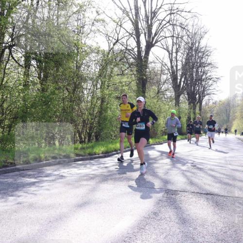 12.04.2026 - 45. Internationalen Wilhelmsburger Insellauf Yannick Fuchs http://msf.ph/oto/9482922 12.04.2026 10:24:00 Laufen 2402, 4493 meine-sportfotos.de