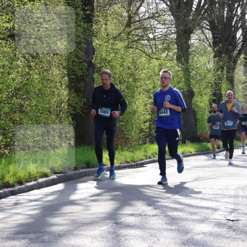 12.04.2026 - 45. Internationalen Wilhelmsburger Insellauf Yannick Fuchs http://msf.ph/oto/9483065 12.04.2026 10:31:46 Laufen 2065, 5442, 2500, 5337, 2869, 4483 meine-sportfotos.de