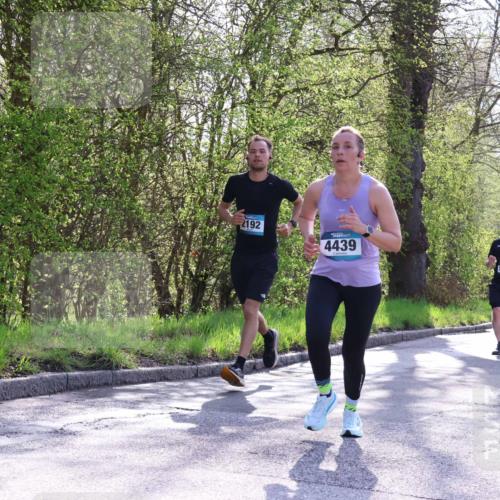 12.04.2026 - 45. Internationalen Wilhelmsburger Insellauf Yannick Fuchs http://msf.ph/oto/9484016 12.04.2026 10:26:01 Laufen 2192, 4439, 5589 meine-sportfotos.de