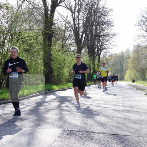 12.04.2026 - 45. Internationalen Wilhelmsburger Insellauf Yannick Fuchs http://msf.ph/oto/9486094 12.04.2026 10:29:43 Laufen 4629, 3677 meine-sportfotos.de