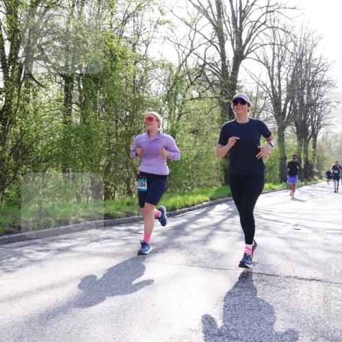12.04.2026 - 45. Internationalen Wilhelmsburger Insellauf Yannick Fuchs http://msf.ph/oto/9486537 12.04.2026 10:36:27 Laufen 2384 meine-sportfotos.de
