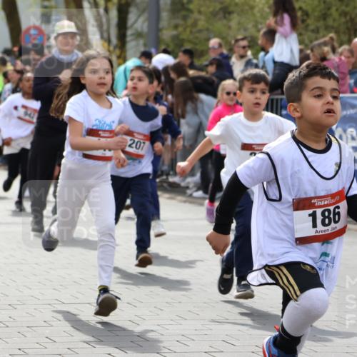 12.04.2026 - 45. Internationalen Wilhelmsburger Insellauf Strokosch-Dieckow http://msf.ph/oto/9488382 12.04.2026 14:09:59 Ziel 907, 158, 268, 543, 721, 1503, 736, 715, 6, 1504, 412, 681, 640, 248, 441, 723, 119, 186, 224, 745, 207, 920, 770, 182, 19, 913, 181, 529, 942, 157, 1518 meine-sportfotos.de