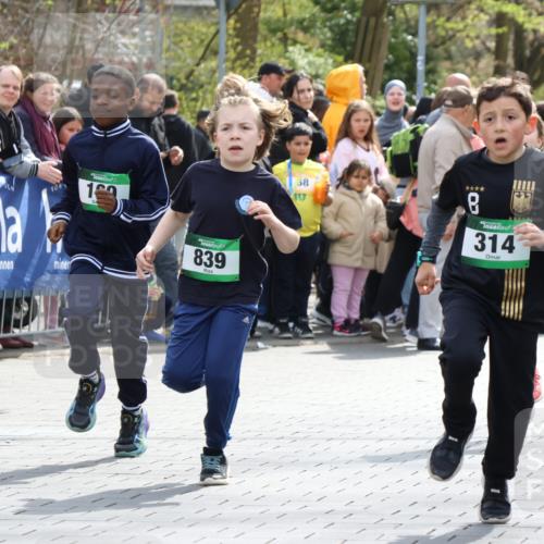 12.04.2026 - 45. Internationalen Wilhelmsburger Insellauf Strokosch-Dieckow http://msf.ph/oto/9490148 12.04.2026 14:34:21 Ziel 1731, 1722, 32, 33, 104, 314, 1718, 160, 483, 839, 1713, 1723, 1730 meine-sportfotos.de