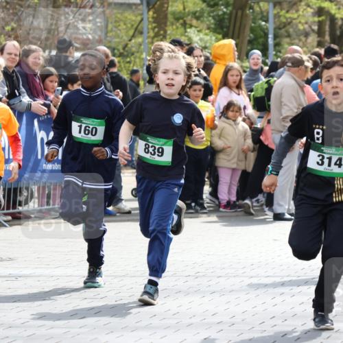 12.04.2026 - 45. Internationalen Wilhelmsburger Insellauf Strokosch-Dieckow http://msf.ph/oto/9490149 12.04.2026 14:34:21 Ziel 1731, 1722, 32, 33, 104, 314, 1718, 160, 483, 839, 1713, 1723, 1730 meine-sportfotos.de