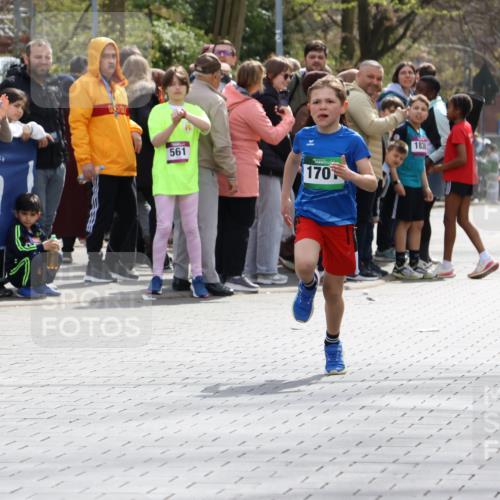 12.04.2026 - 45. Internationalen Wilhelmsburger Insellauf Strokosch-Dieckow http://msf.ph/oto/9490328 12.04.2026 14:33:14 Ziel 1701 meine-sportfotos.de