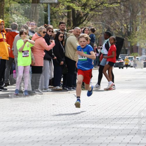 12.04.2026 - 45. Internationalen Wilhelmsburger Insellauf Strokosch-Dieckow http://msf.ph/oto/9490335 12.04.2026 14:33:13 Ziel 1701 meine-sportfotos.de