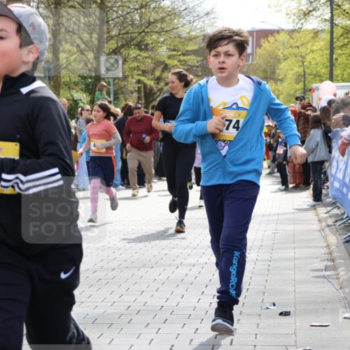 12.04.2026 - 45. Internationalen Wilhelmsburger Insellauf Strokosch-Dieckow http://msf.ph/oto/9490537 12.04.2026 14:21:49 Ziel 136, 729, 769, 646, 159, 1622, 317, 283, 134, 316, 792, 763, 255, 65, 1617, 969, 799, 974, 482, 236, 810, 488, 814, 95, 409, 595 meine-sportfotos.de