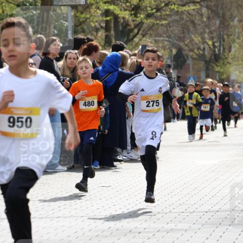 12.04.2026 - 45. Internationalen Wilhelmsburger Insellauf Strokosch-Dieckow http://msf.ph/oto/9491061 12.04.2026 14:19:36 Ziel 1614, 1613, 950, 275, 480 meine-sportfotos.de