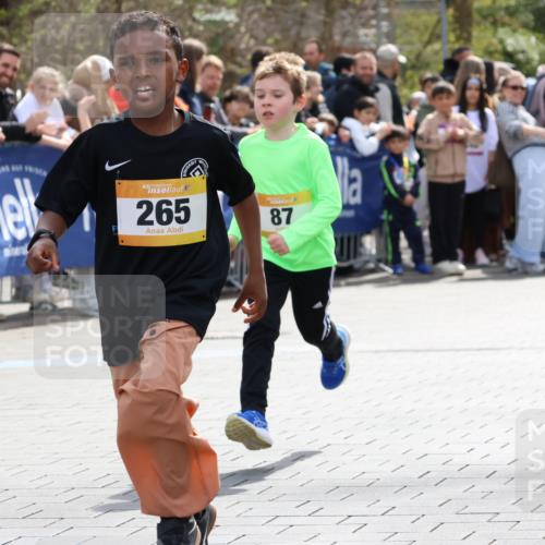 12.04.2026 - 45. Internationalen Wilhelmsburger Insellauf Strokosch-Dieckow http://msf.ph/oto/9491087 12.04.2026 14:19:28 Ziel 941, 265, 87, 1614, 1613 meine-sportfotos.de