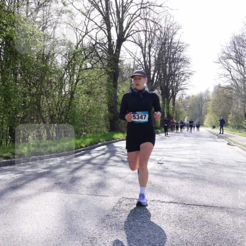12.04.2026 - 45. Internationalen Wilhelmsburger Insellauf Yannick Fuchs http://msf.ph/oto/9491439 12.04.2026 10:41:42 Laufen 5347 meine-sportfotos.de