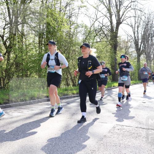 12.04.2026 - 45. Internationalen Wilhelmsburger Insellauf Yannick Fuchs http://msf.ph/oto/9492543 12.04.2026 10:45:04 Laufen 2915, 2283, 717, 4321, 2067 meine-sportfotos.de