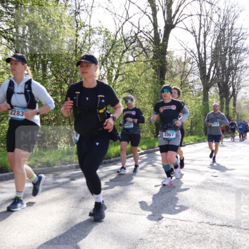 12.04.2026 - 45. Internationalen Wilhelmsburger Insellauf Yannick Fuchs http://msf.ph/oto/9492545 12.04.2026 10:45:04 Laufen 2283, 4321, 2067, 4717 meine-sportfotos.de