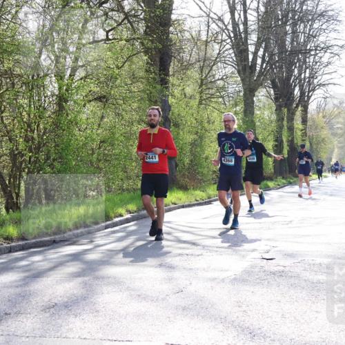 12.04.2026 - 45. Internationalen Wilhelmsburger Insellauf Yannick Fuchs http://msf.ph/oto/9492650 12.04.2026 10:45:20 Laufen 2441, 4368, 361, 4448 meine-sportfotos.de
