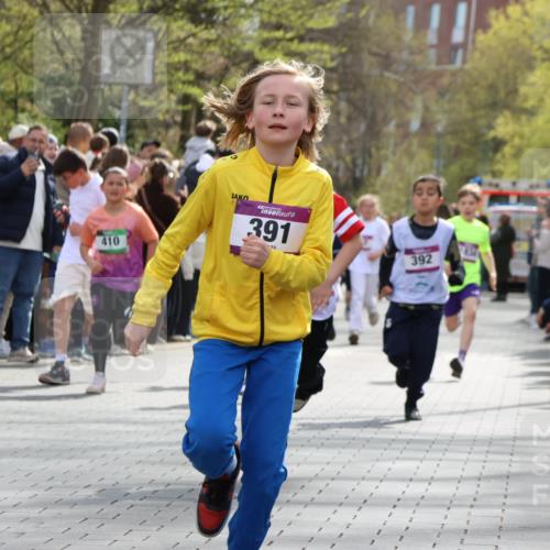12.04.2026 - 45. Internationalen Wilhelmsburger Insellauf Strokosch-Dieckow http://msf.ph/oto/9492873 12.04.2026 14:50:26 Ziel 370, 345, 429, 905, 461, 475, 859, 1840, 504, 333, 391, 407, 883, 452, 1834, 491, 426, 392, 880, 151, 1035 meine-sportfotos.de