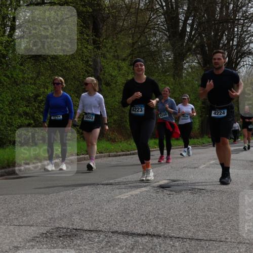 12.04.2026 - 45. Internationalen Wilhelmsburger Insellauf Yannick Fuchs http://msf.ph/oto/9496464 12.04.2026 13:07:56 Laufen 3002, 3603, 4223, 4348, 4809, 4224 meine-sportfotos.de