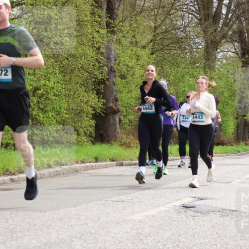 12.04.2026 - 45. Internationalen Wilhelmsburger Insellauf Yannick Fuchs http://msf.ph/oto/9497219 12.04.2026 13:09:08 Laufen 3872, 4442, 4341, 4443, 2332 meine-sportfotos.de
