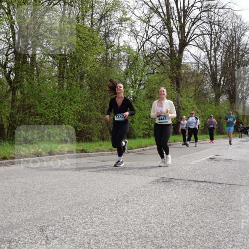 12.04.2026 - 45. Internationalen Wilhelmsburger Insellauf Yannick Fuchs http://msf.ph/oto/9497244 12.04.2026 13:09:10 Laufen 4442, 4443 meine-sportfotos.de