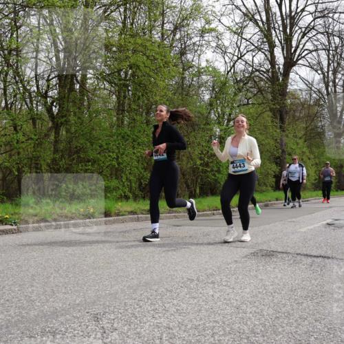 12.04.2026 - 45. Internationalen Wilhelmsburger Insellauf Yannick Fuchs http://msf.ph/oto/9497248 12.04.2026 13:09:10 Laufen 4443 meine-sportfotos.de
