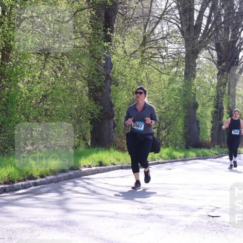 12.04.2026 - 45. Internationalen Wilhelmsburger Insellauf Yannick Fuchs http://msf.ph/oto/9497253 12.04.2026 10:54:27 Laufen 3920, 2567 meine-sportfotos.de