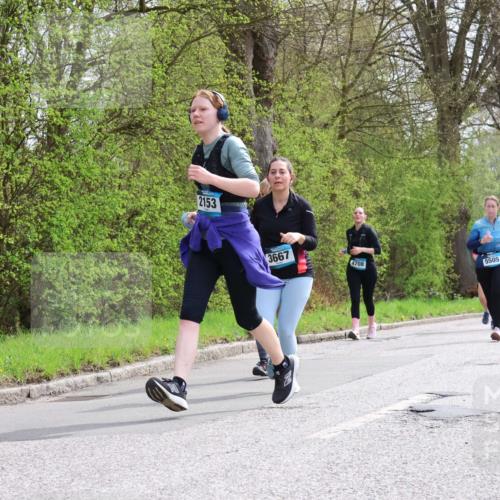 12.04.2026 - 45. Internationalen Wilhelmsburger Insellauf Yannick Fuchs http://msf.ph/oto/9497338 12.04.2026 13:09:20 Laufen 2153, 3667, 4708, 5505 meine-sportfotos.de