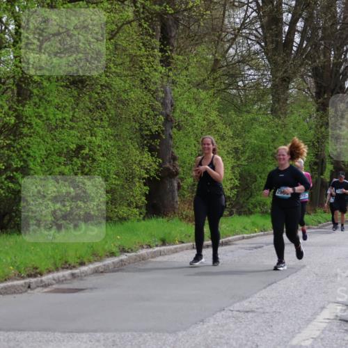 12.04.2026 - 45. Internationalen Wilhelmsburger Insellauf Yannick Fuchs http://msf.ph/oto/9498490 12.04.2026 13:11:57 Laufen 296, 2721 meine-sportfotos.de