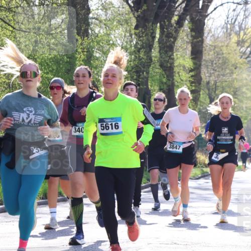 12.04.2026 - 45. Internationalen Wilhelmsburger Insellauf Yannick Fuchs http://msf.ph/oto/9498651 12.04.2026 10:58:51 Laufen 2024, 23, 340, 5616, 3847, 45, 2013, 1930, 3833 meine-sportfotos.de