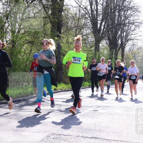 12.04.2026 - 45. Internationalen Wilhelmsburger Insellauf Yannick Fuchs http://msf.ph/oto/9498673 12.04.2026 10:58:52 Laufen 2489, 5616, 3003, 3833 meine-sportfotos.de