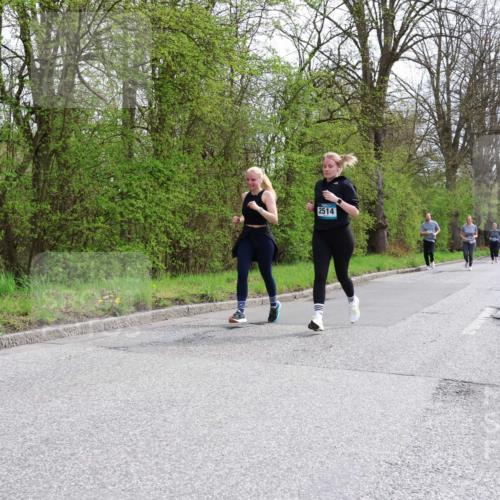 12.04.2026 - 45. Internationalen Wilhelmsburger Insellauf Yannick Fuchs http://msf.ph/oto/9499526 12.04.2026 13:14:42 Laufen 2514 meine-sportfotos.de