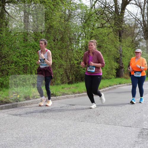 12.04.2026 - 45. Internationalen Wilhelmsburger Insellauf Yannick Fuchs http://msf.ph/oto/9500131 12.04.2026 13:16:34 Laufen 2587, 2909, 2397 meine-sportfotos.de
