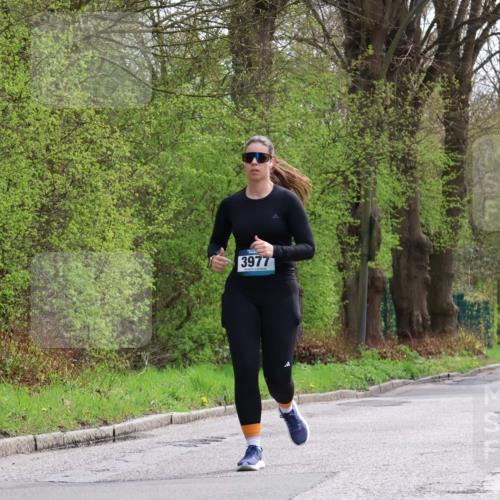 12.04.2026 - 45. Internationalen Wilhelmsburger Insellauf Yannick Fuchs http://msf.ph/oto/9501067 12.04.2026 13:22:47 Laufen 3977 meine-sportfotos.de