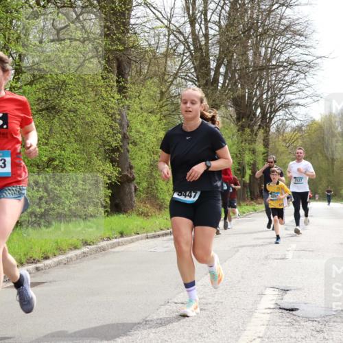 12.04.2026 - 45. Internationalen Wilhelmsburger Insellauf Yannick Fuchs http://msf.ph/oto/9503029 12.04.2026 12:47:57 Laufen 3973, 5447, 2937 meine-sportfotos.de