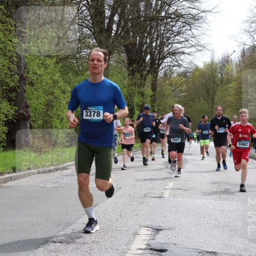 12.04.2026 - 45. Internationalen Wilhelmsburger Insellauf Yannick Fuchs http://msf.ph/oto/9503896 12.04.2026 12:51:20 Laufen 3378, 5073, 4438, 4937, 2447, 5777, 5062, 4740 meine-sportfotos.de
