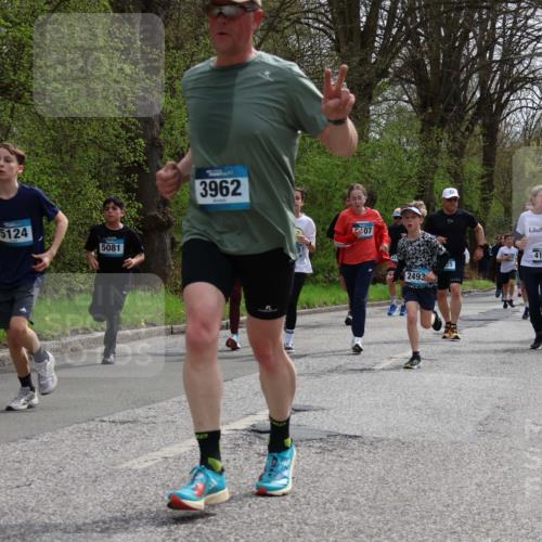 12.04.2026 - 45. Internationalen Wilhelmsburger Insellauf Yannick Fuchs http://msf.ph/oto/9504400 12.04.2026 12:53:04 Laufen 11, 5124, 5081, 3962, 107, 2493, 14226, 4128, 023, 4875 meine-sportfotos.de