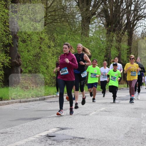 12.04.2026 - 45. Internationalen Wilhelmsburger Insellauf Yannick Fuchs http://msf.ph/oto/9504844 12.04.2026 12:54:29 Laufen 5106, 4944, 2733, 5188, 4610, 5186, 388, 4889, 3164 meine-sportfotos.de