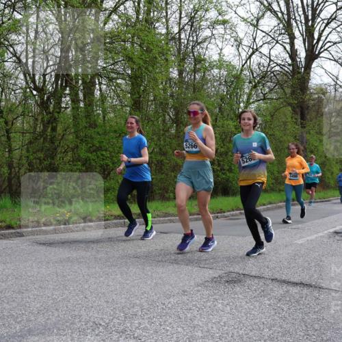 12.04.2026 - 45. Internationalen Wilhelmsburger Insellauf Yannick Fuchs http://msf.ph/oto/9506903 12.04.2026 13:02:21 Laufen 5266, 526, 5498 meine-sportfotos.de