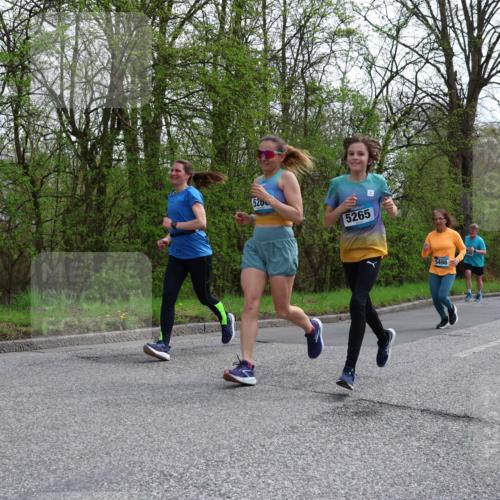 12.04.2026 - 45. Internationalen Wilhelmsburger Insellauf Yannick Fuchs http://msf.ph/oto/9506904 12.04.2026 13:02:21 Laufen 526, 5265, 5498 meine-sportfotos.de
