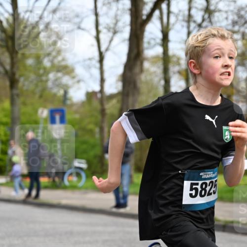 12.04.2026 - 45. Internationalen Wilhelmsburger Insellauf J. Mangold http://msf.ph/oto/9508071 12.04.2026 12:50:54 Ziel 5530, 5825, 5411, 4282, 3982, 3925, 5595, 2959, 5860 meine-sportfotos.de