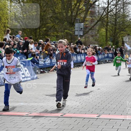 12.04.2026 - 45. Internationalen Wilhelmsburger Insellauf J. Mangold http://msf.ph/oto/9520612 12.04.2026 14:09:24 Ziel 911, 741, 1502, 927, 215, 577, 223, 271, 691, 1511, 252, 270, 220 meine-sportfotos.de