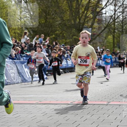 12.04.2026 - 45. Internationalen Wilhelmsburger Insellauf J. Mangold http://msf.ph/oto/9520762 12.04.2026 14:09:48 Ziel 212, 735, 190, 240, 1520, 206, 908, 776, 172, 183, 196, 449, 772, 7, 917, 284, 44 meine-sportfotos.de