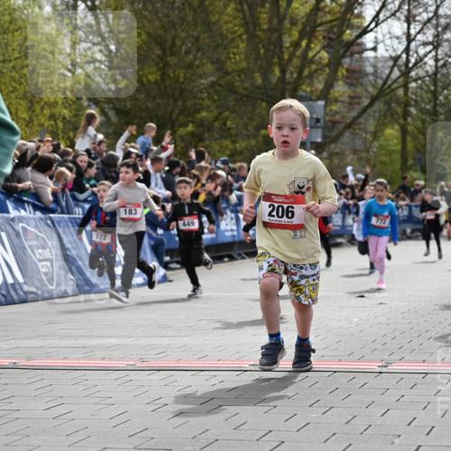 12.04.2026 - 45. Internationalen Wilhelmsburger Insellauf J. Mangold http://msf.ph/oto/9520763 12.04.2026 14:09:48 Ziel 212, 735, 190, 240, 1520, 206, 908, 776, 172, 183, 196, 449, 772, 7, 917, 284, 44 meine-sportfotos.de