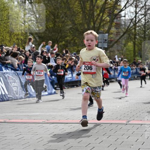 12.04.2026 - 45. Internationalen Wilhelmsburger Insellauf J. Mangold http://msf.ph/oto/9520764 12.04.2026 14:09:48 Ziel 212, 735, 190, 240, 1520, 206, 908, 776, 172, 183, 196, 449, 772, 7, 917, 284, 44 meine-sportfotos.de