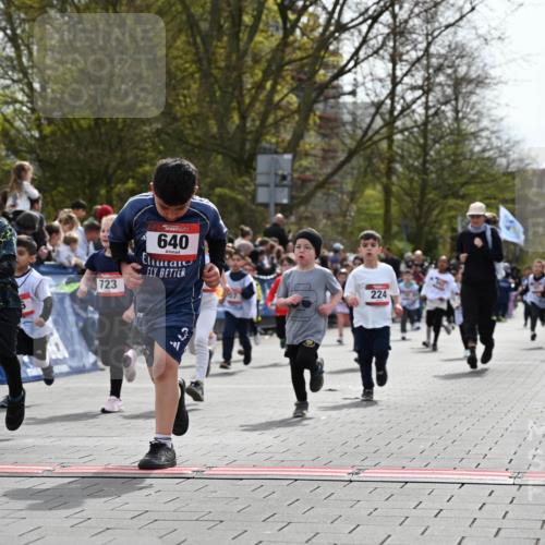 12.04.2026 - 45. Internationalen Wilhelmsburger Insellauf J. Mangold http://msf.ph/oto/9520891 12.04.2026 14:10:04 Ziel 543, 721, 1503, 736, 715, 6, 1504, 412, 681, 640, 248, 441, 723, 119, 186, 224, 745, 207, 920, 770, 182, 19 meine-sportfotos.de