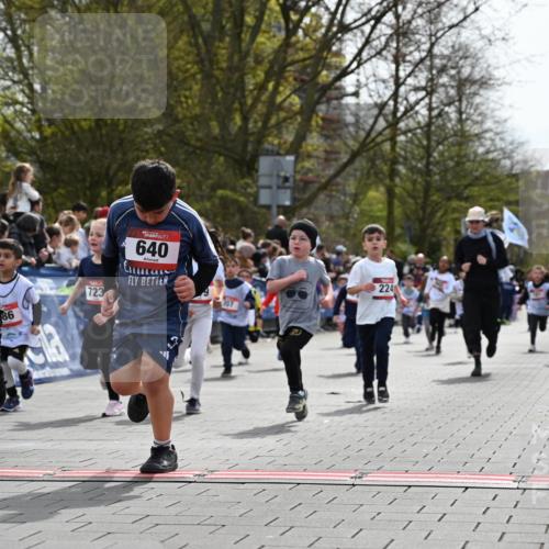 12.04.2026 - 45. Internationalen Wilhelmsburger Insellauf J. Mangold http://msf.ph/oto/9520892 12.04.2026 14:10:04 Ziel 543, 721, 1503, 736, 715, 6, 1504, 412, 681, 640, 248, 441, 723, 119, 186, 224, 745, 207, 920, 770, 182, 19 meine-sportfotos.de
